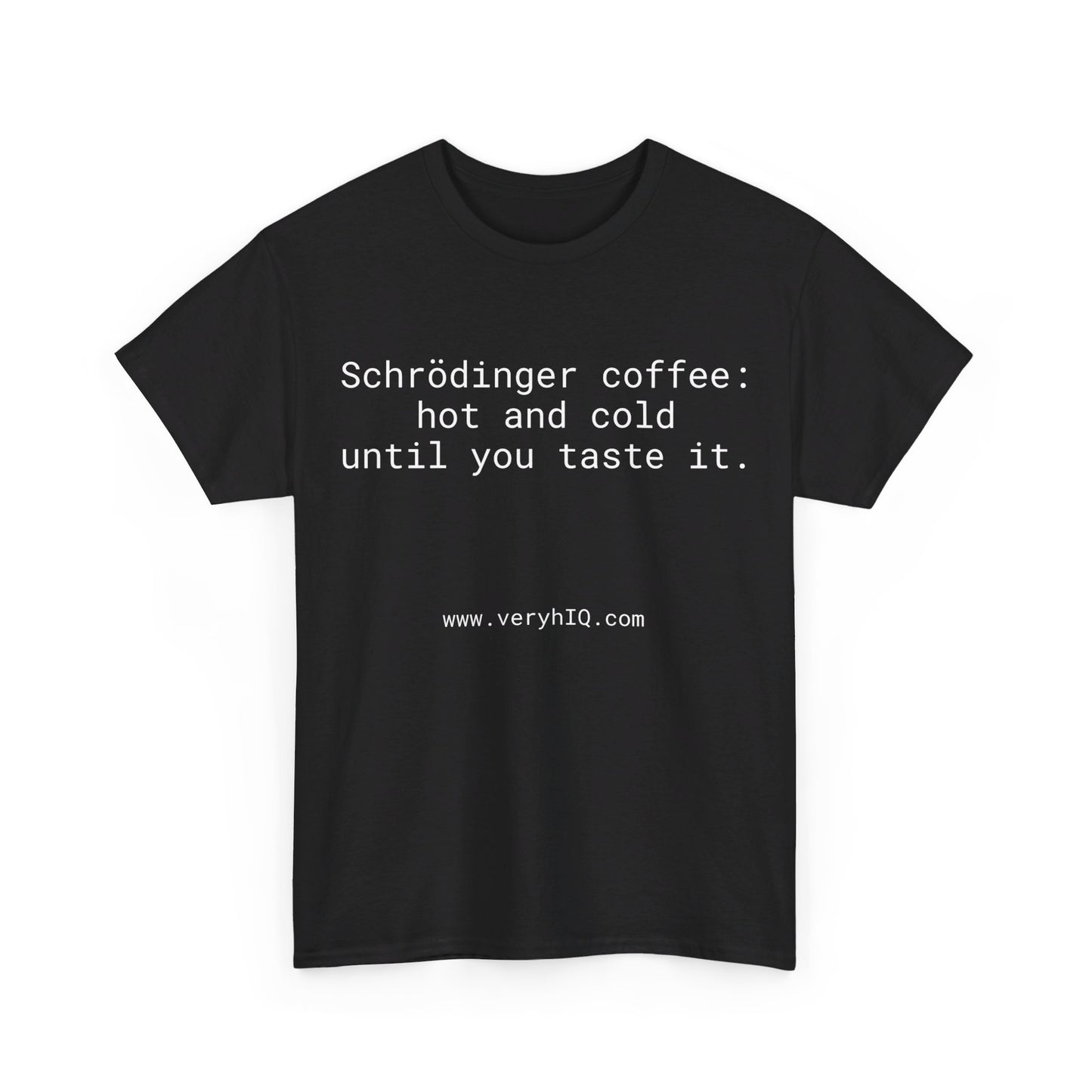 Physics Can Be Fun! Schrodinger