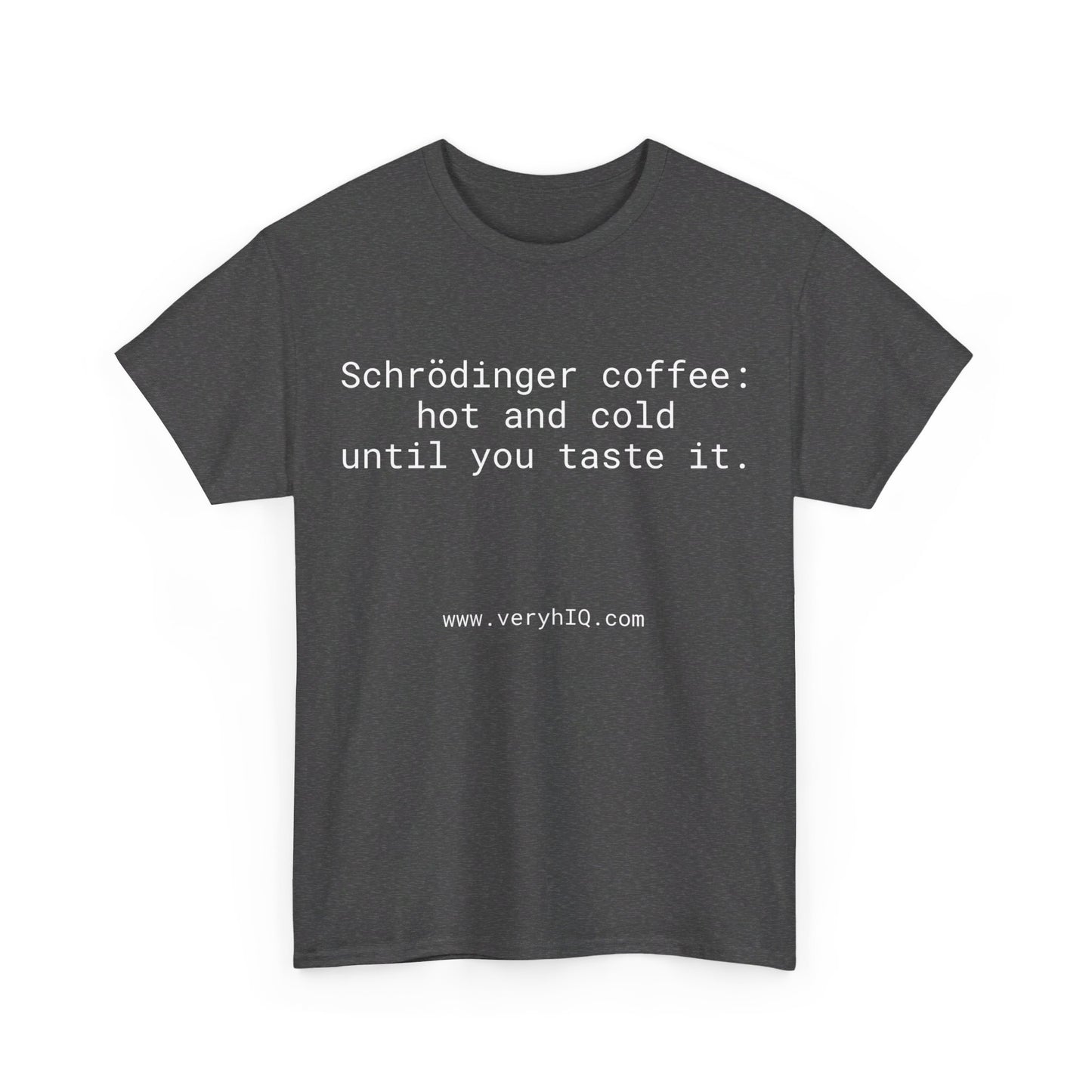 Physics Can Be Fun! Schrodinger