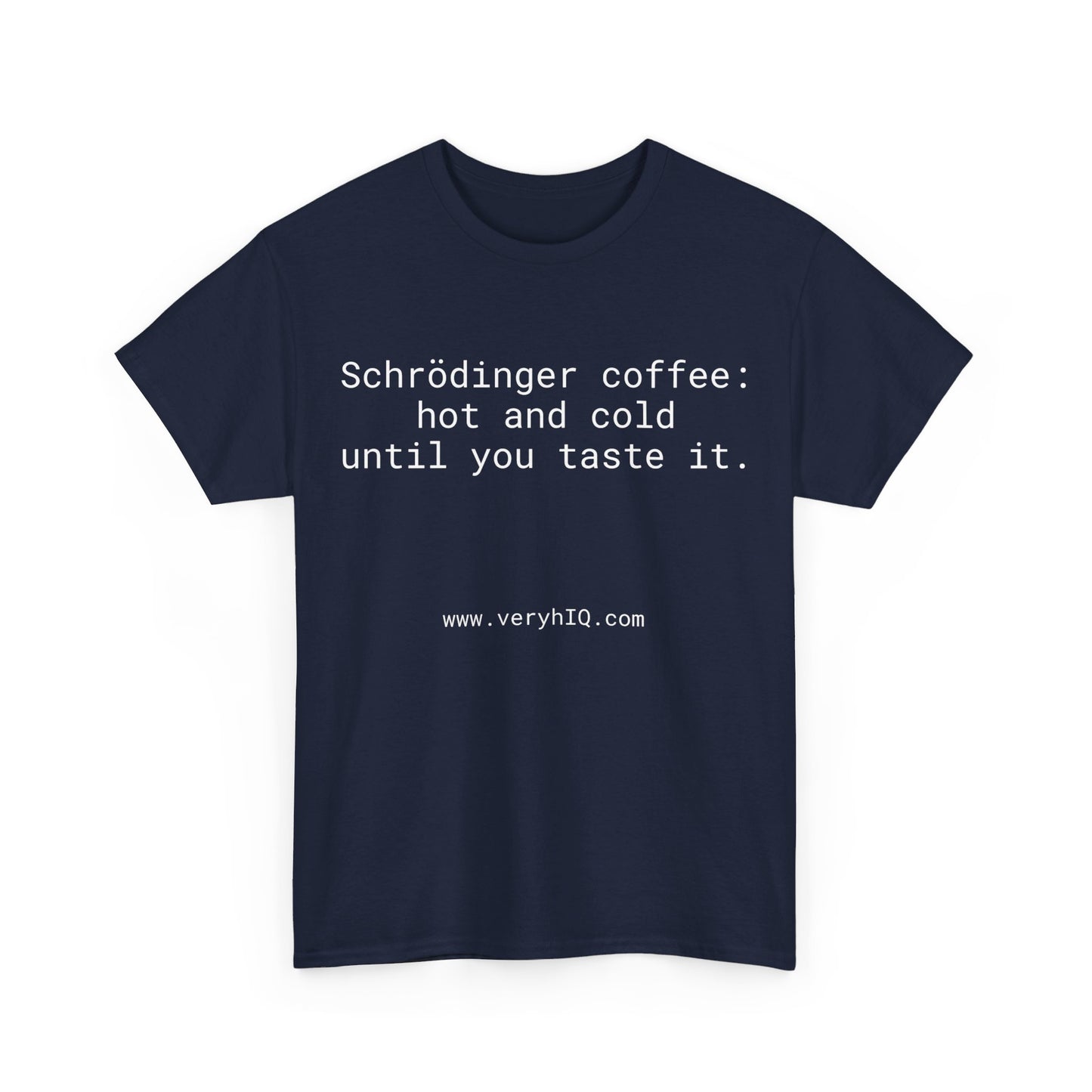 Physics Can Be Fun! Schrodinger