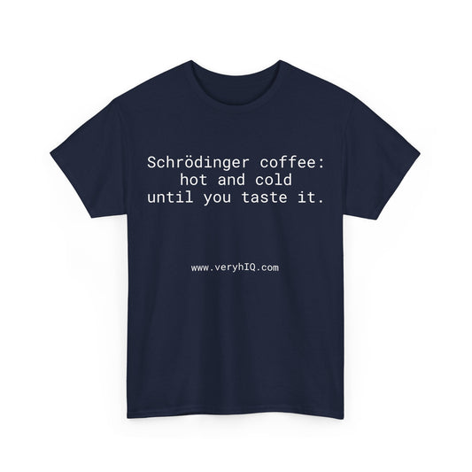 Physics Can Be Fun! Schrodinger